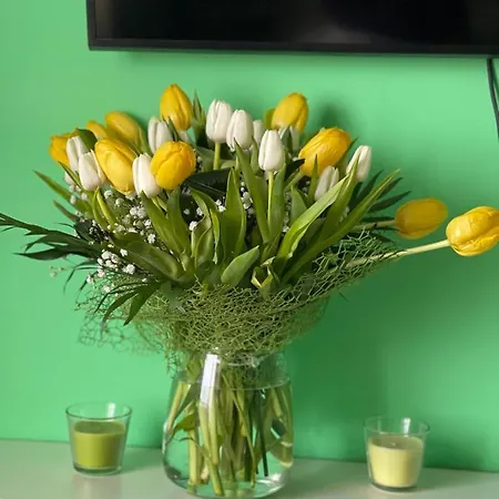 Best Apartament Apartment *